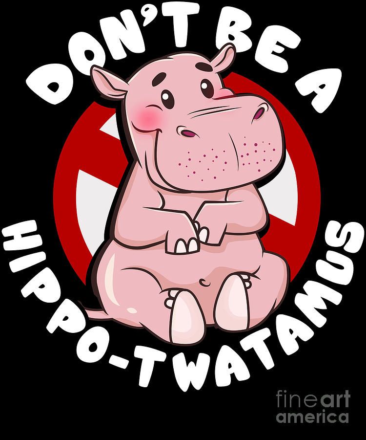 Funny dont be a hippotwatamus hippopotamus pun the perfect presents