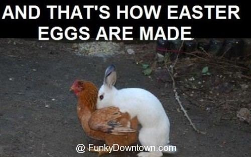 Funny easter eggs 16