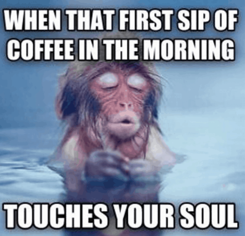Funny Good Morning Memes