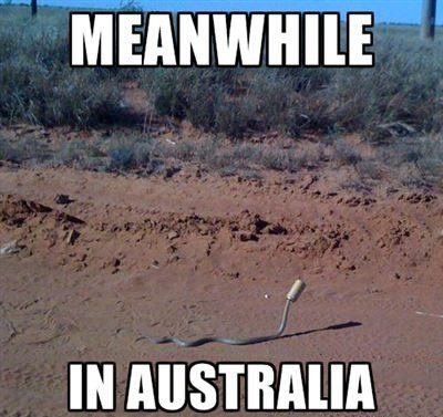 Funny meanwhile in australia 01