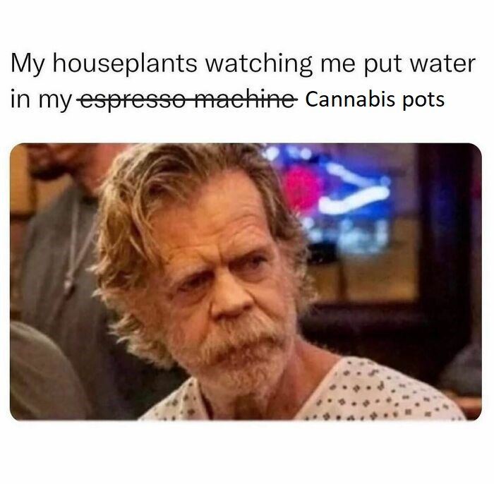 Funny peculiar memes 39