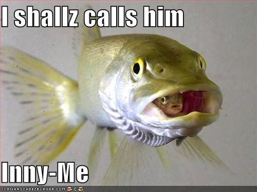 Funny pictures fish has a funny name for another fish