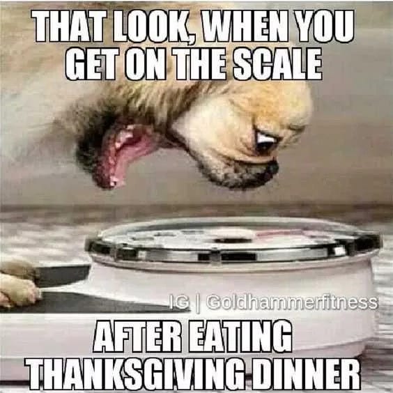 Funny scale day 1630338359