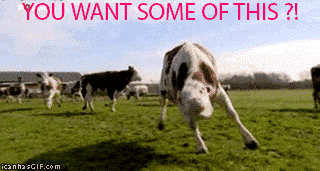 Funny some of this mad cow animated gif