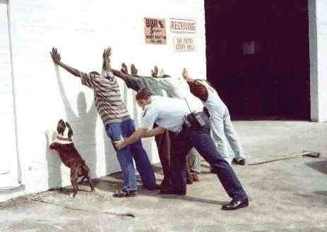 Funny dog arrest