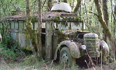 Furthur inswamp
