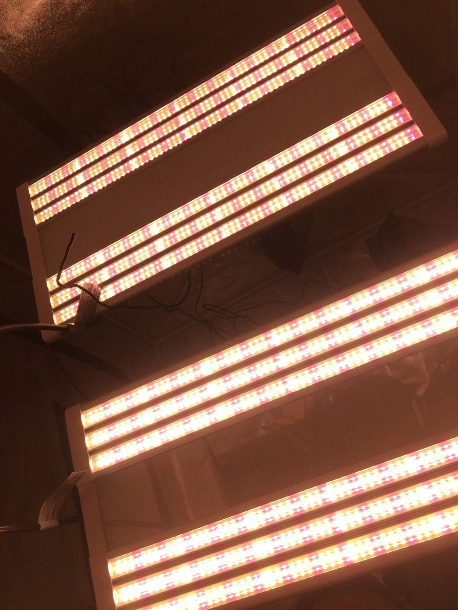 3E512352-087A-45DF-8423-6FDE3291DE93.jpeg