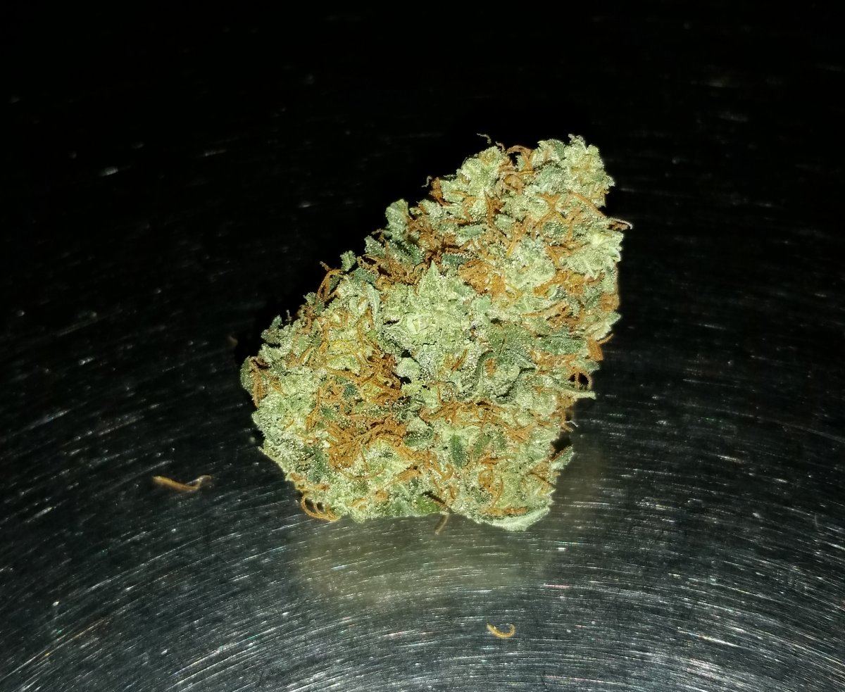 G CheeseFlower