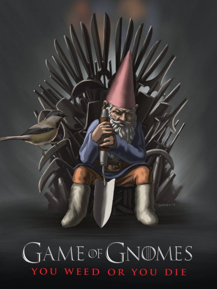 Game of gnomes 2013 02 02 by mike garvey d5wf92d