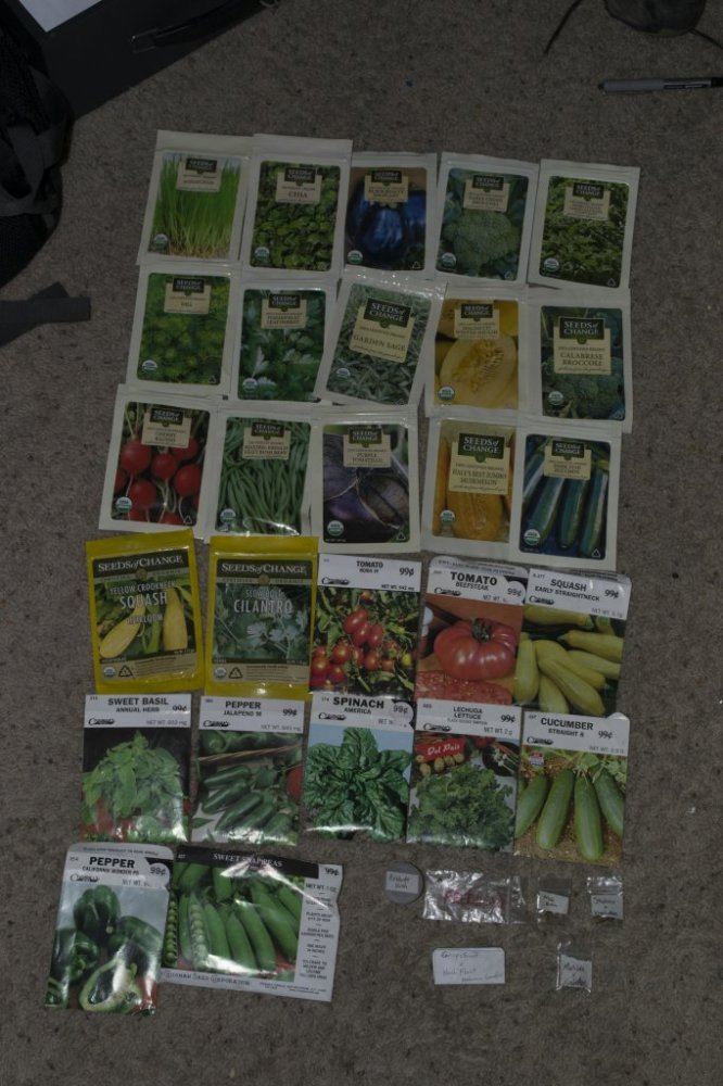 Garden 16