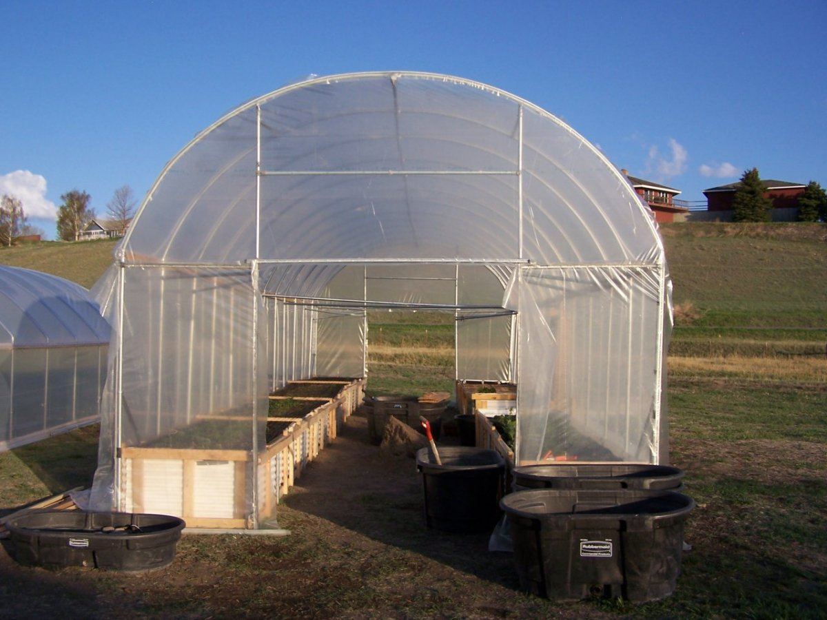 Garden2013 012