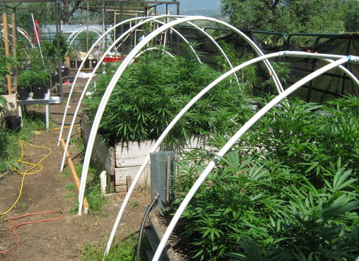 Garden4 30