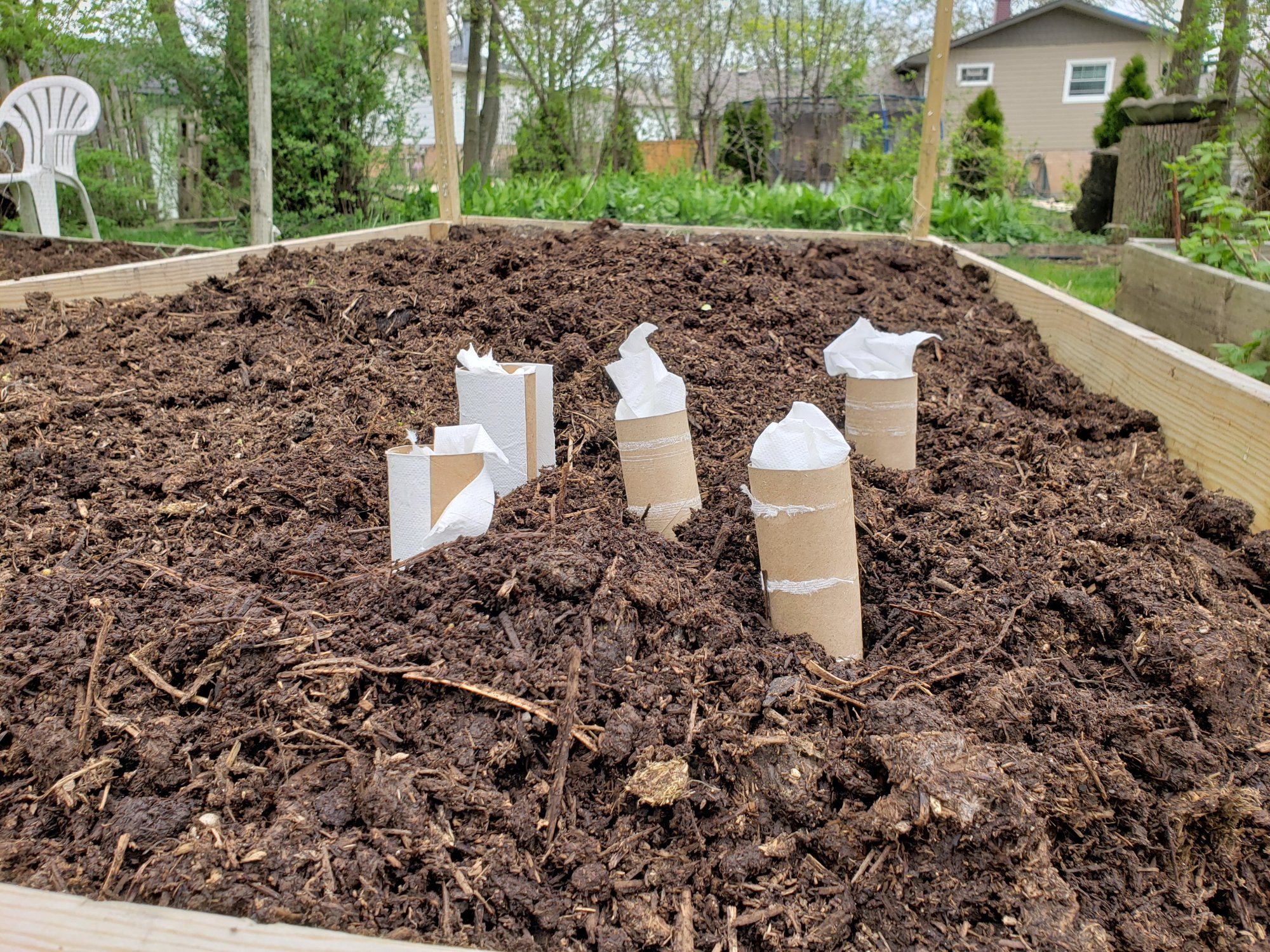Garden5320