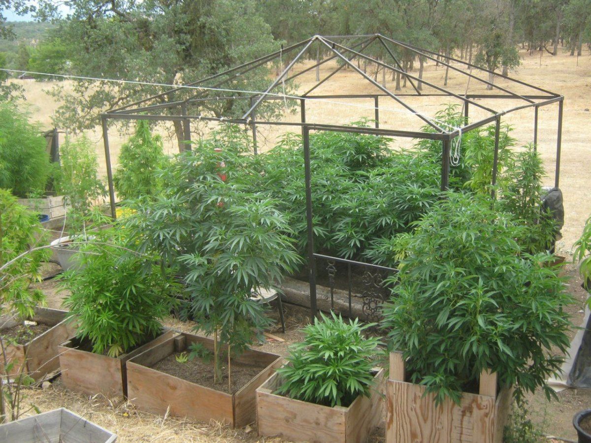 Garden624