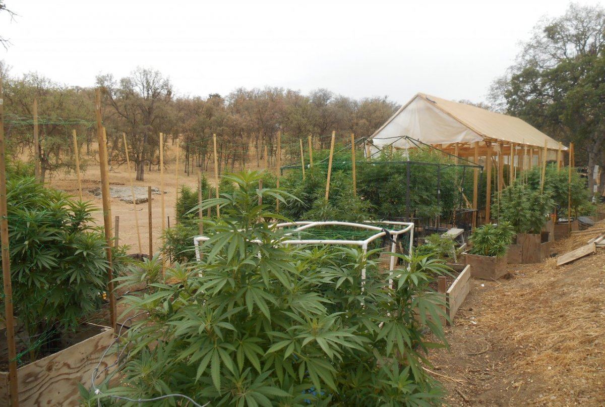 Garden728