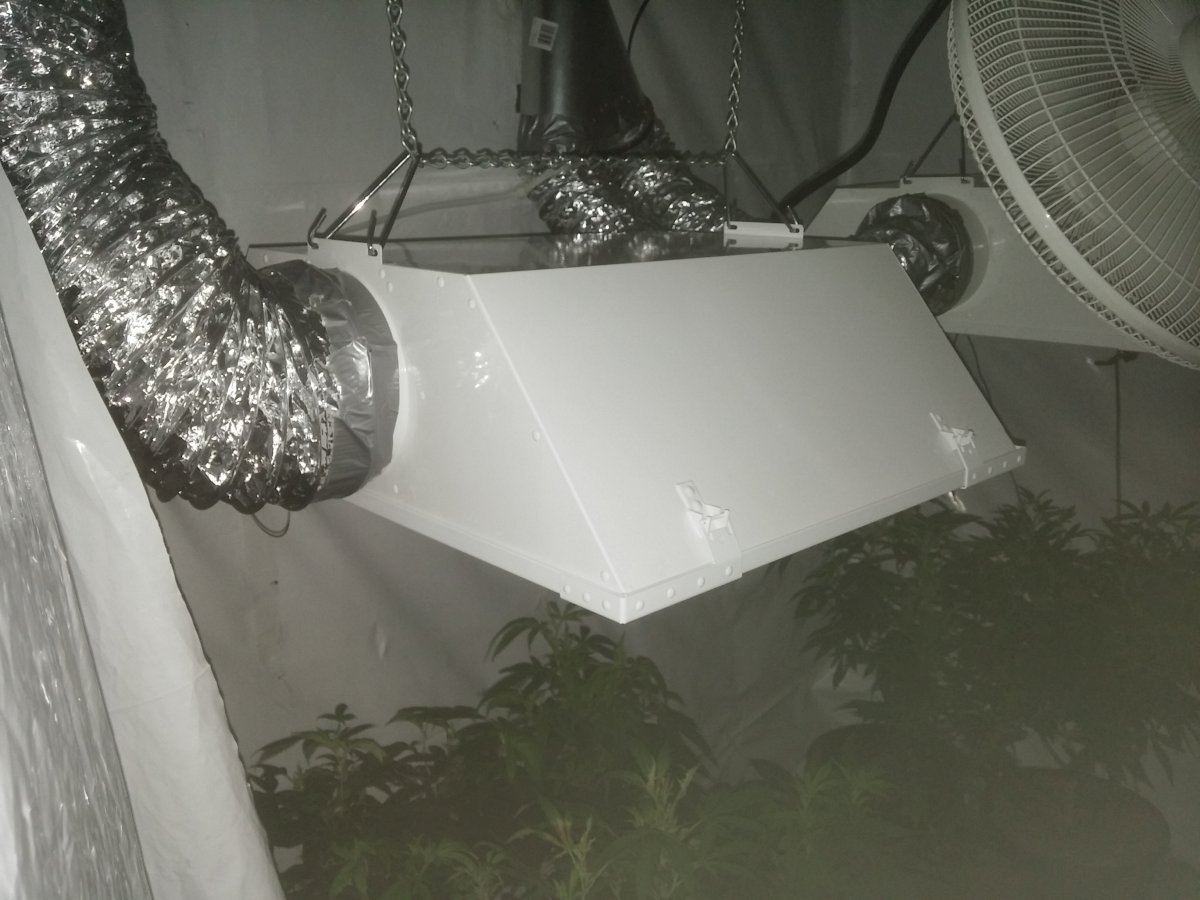 Gardenguys humble grows   vibes nd dank 2
