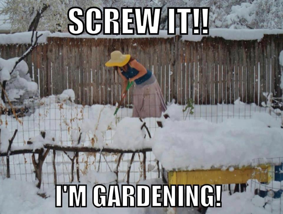 Gardening