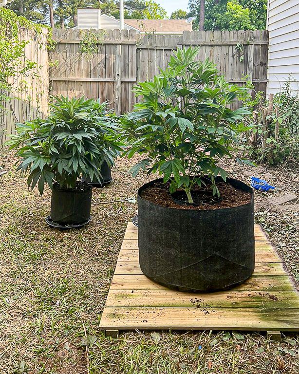 GardenPrep