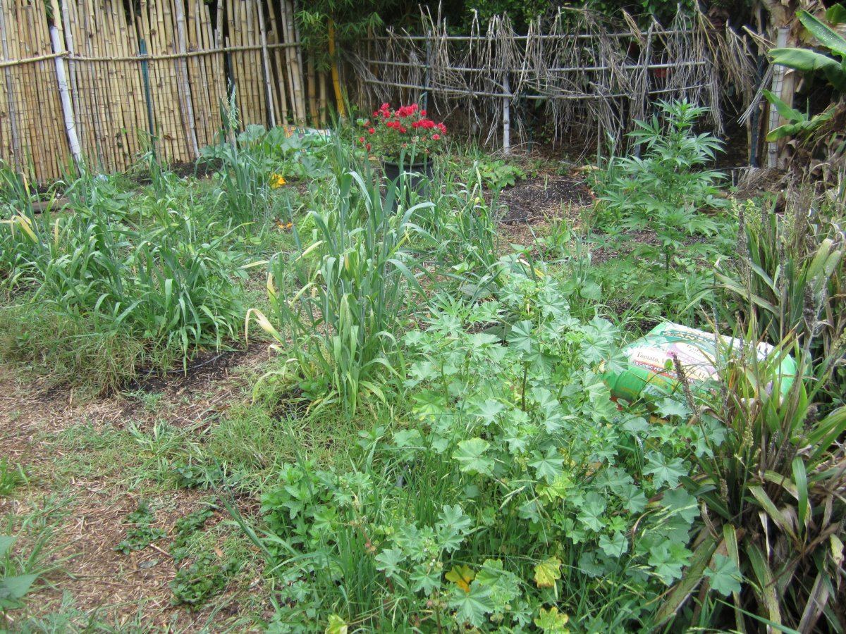 GardenResting1