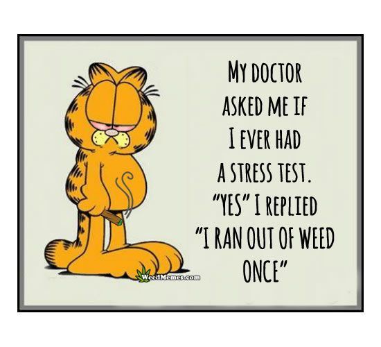 Garfield stress test weed memes