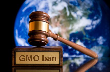 Gavel no gmo copy
