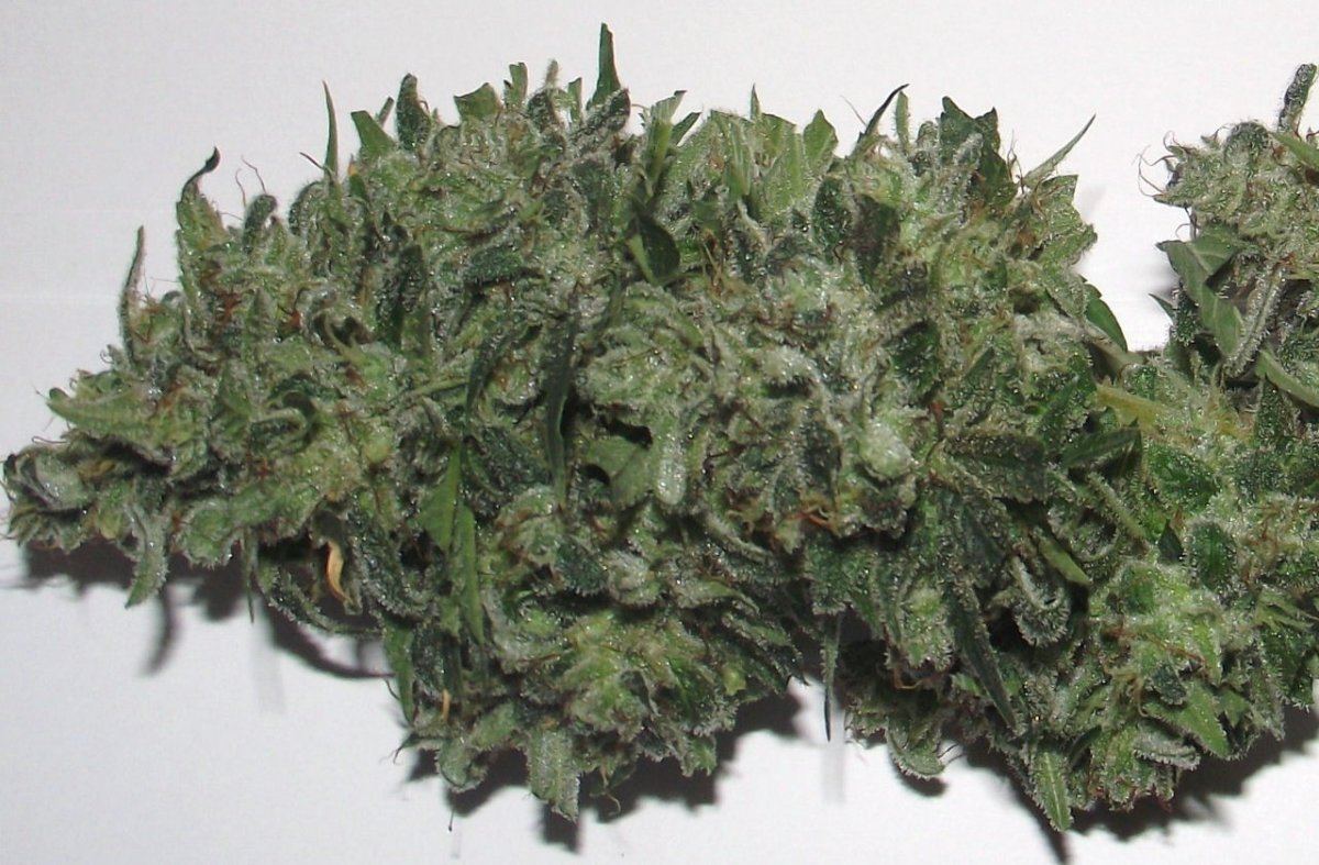 GB4
