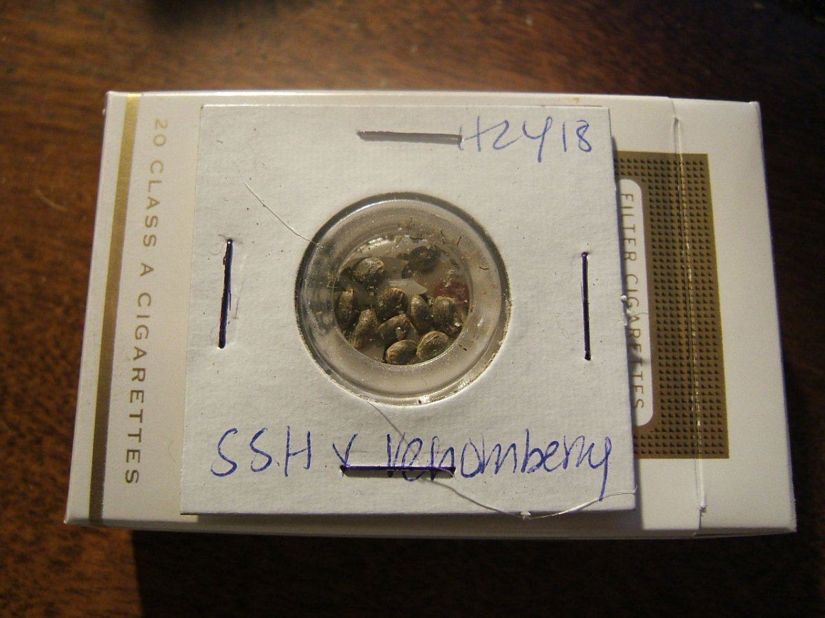 GD92 158