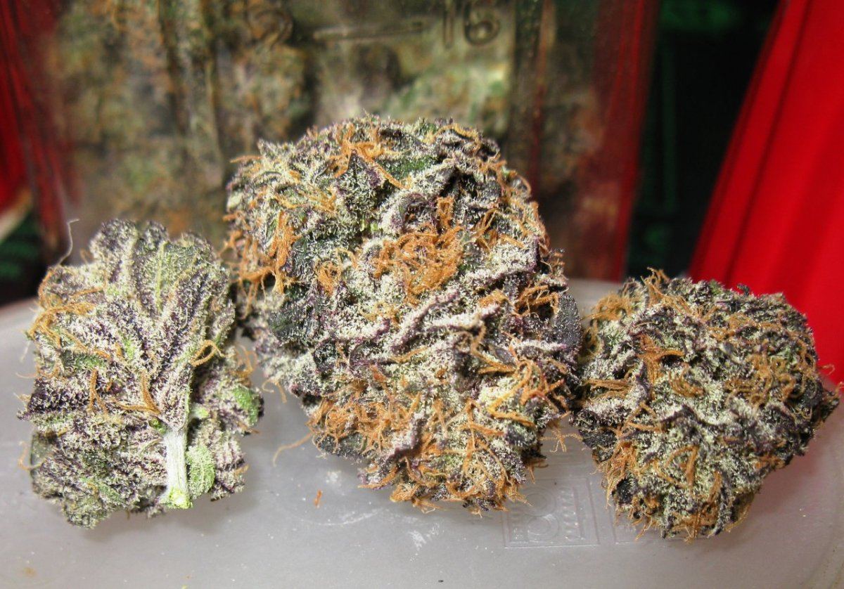 Gdk  002