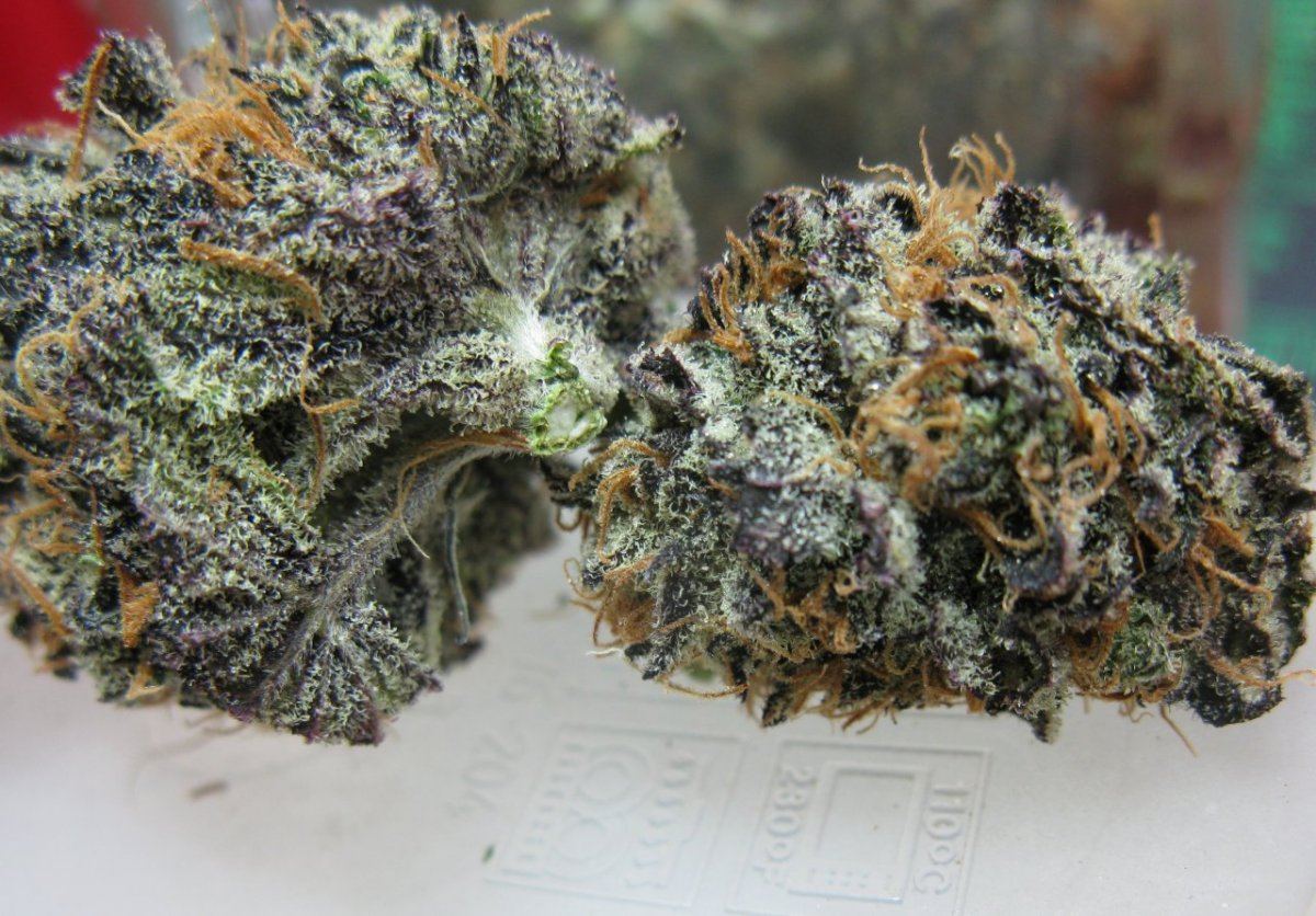 Gdk  005