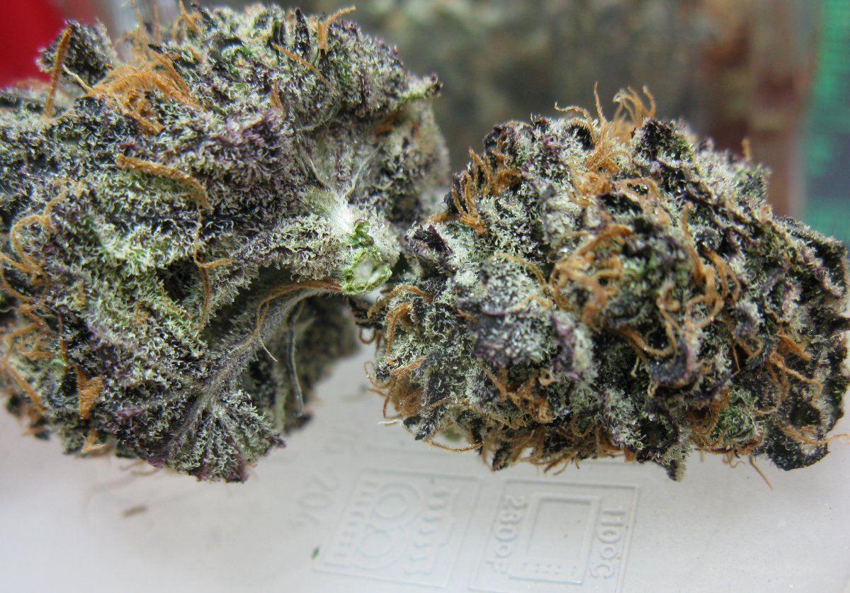 Gdk  005