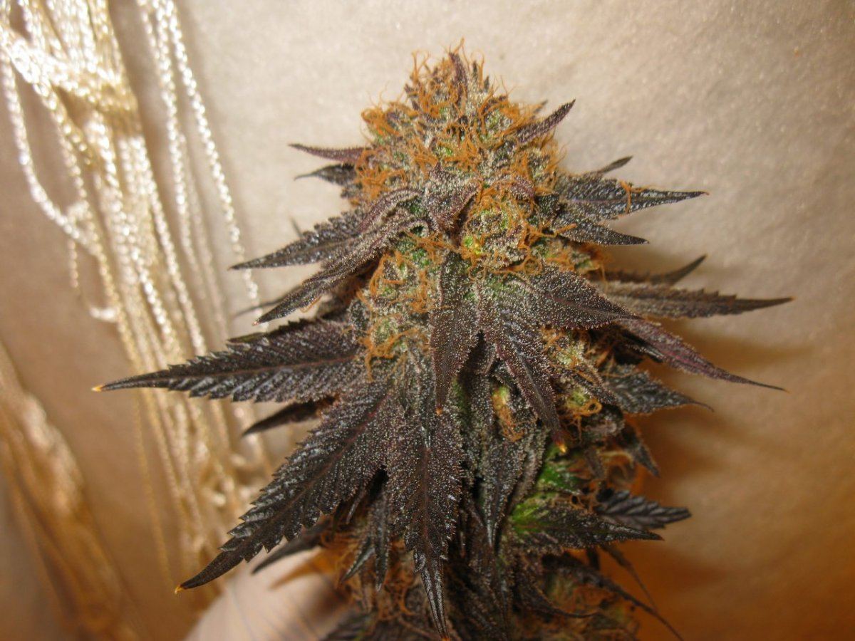 Gdk3