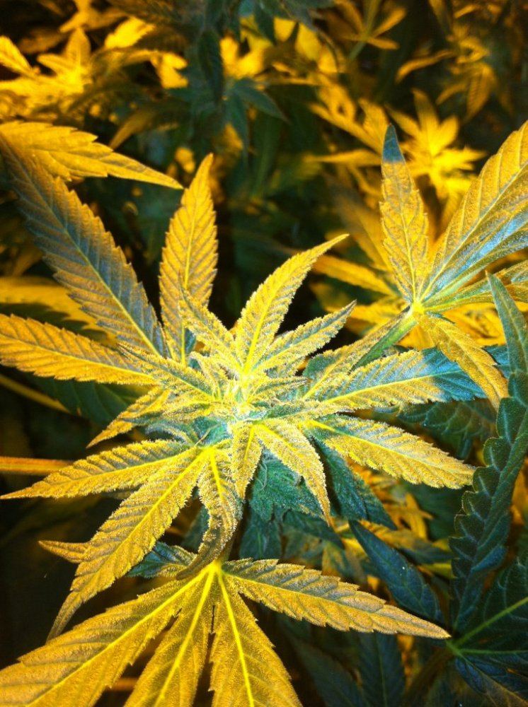 Gdp 2014 2