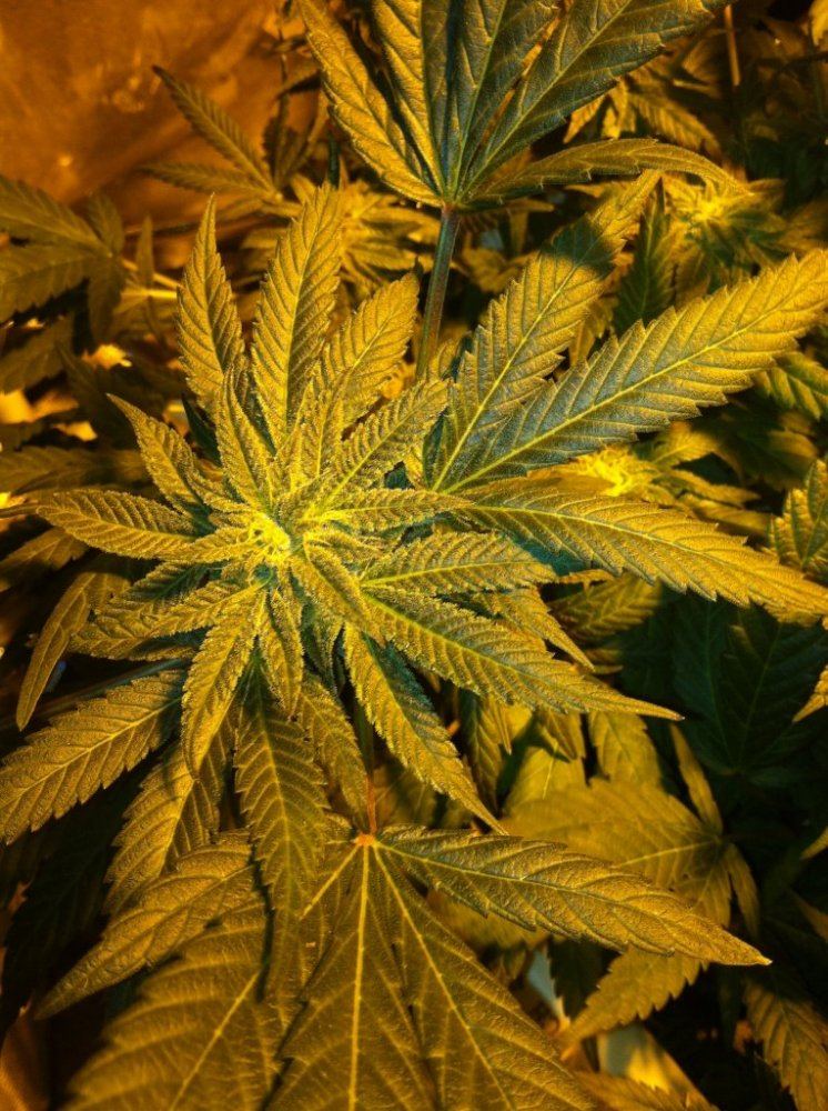 Gdp 2014