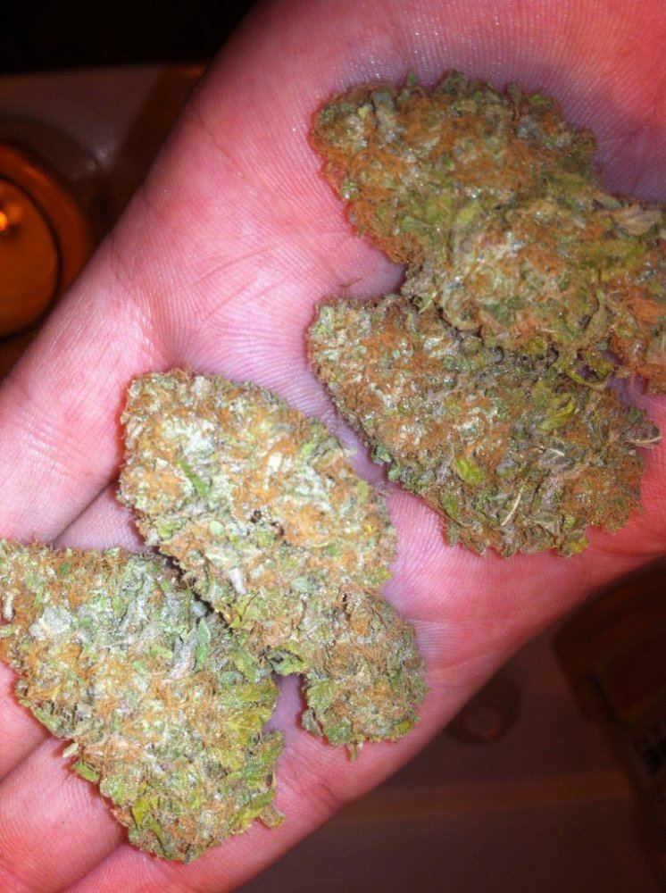 Gdp 9 13 13