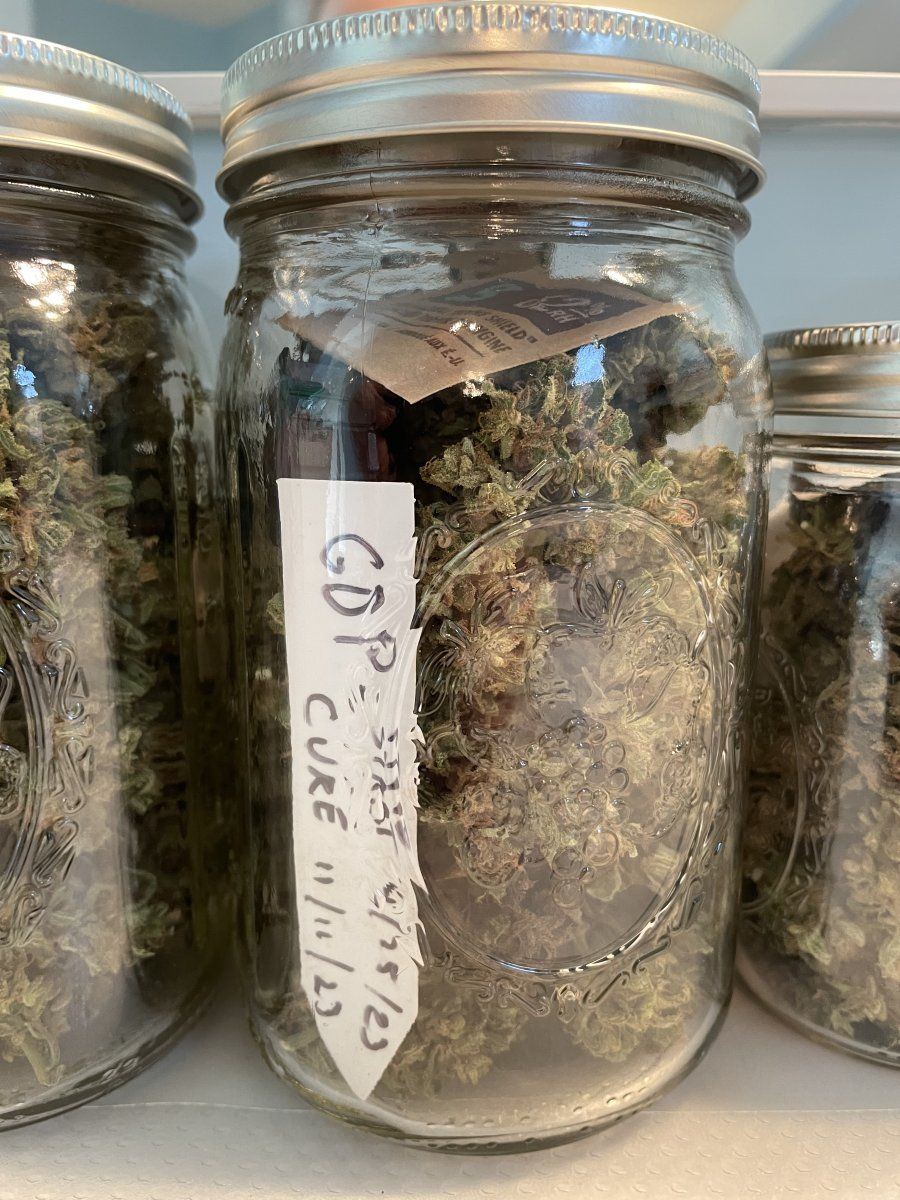GDP THC Bomb  11 13 2023 02