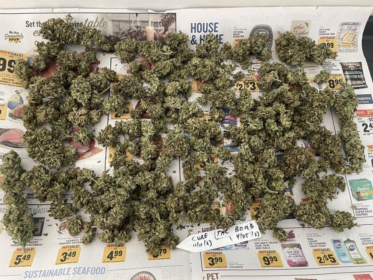 GDP THC Bomb  11 17 2023 01
