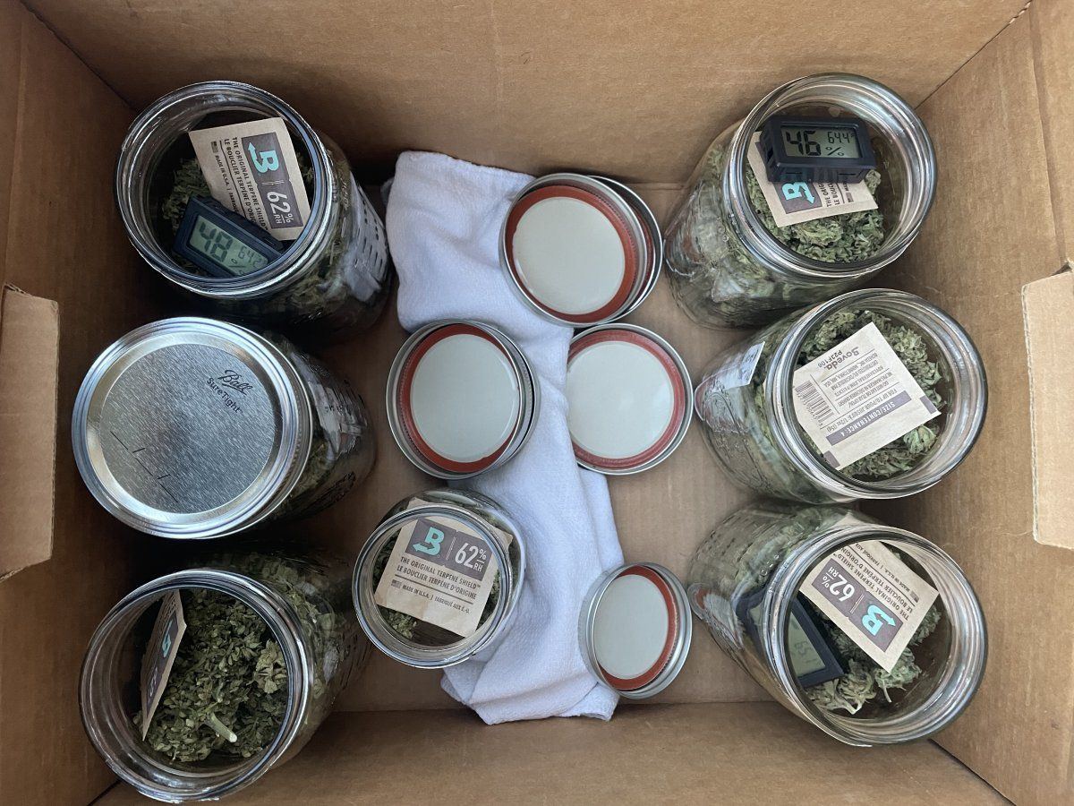 GDP THC Bomb  11 17 2023 02