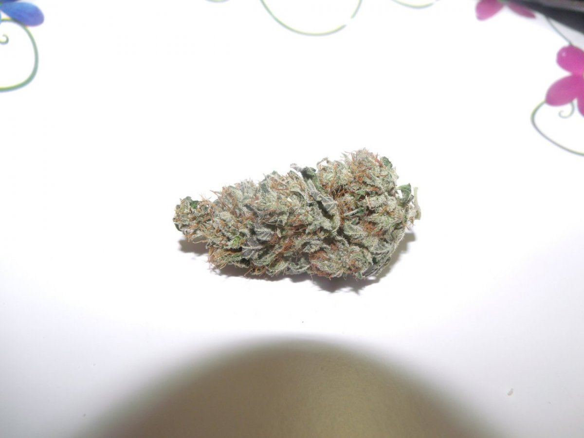 GEDC0001