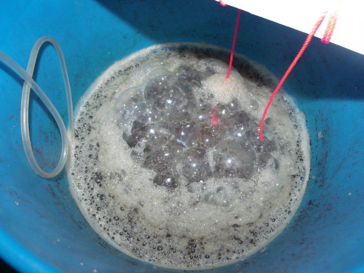 GEDC0001