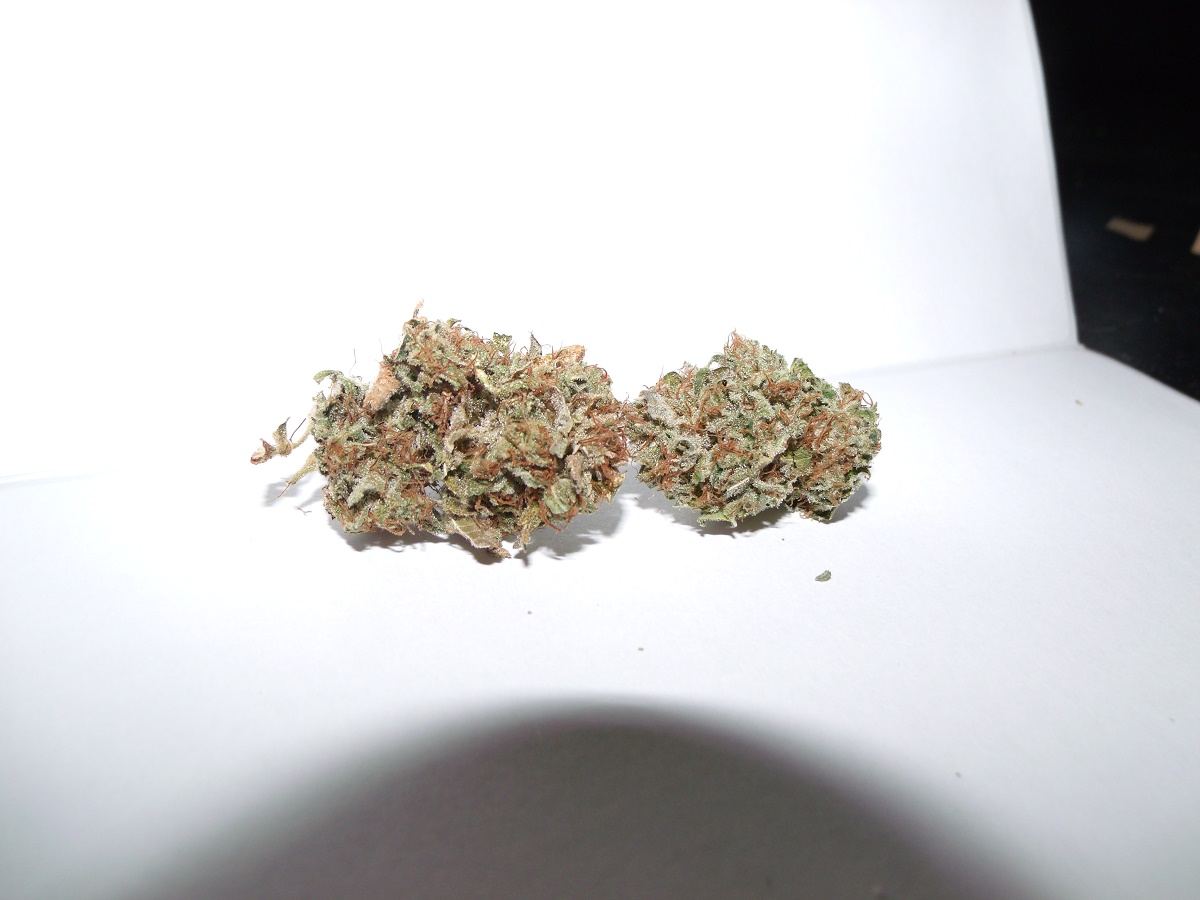 GEDC0002