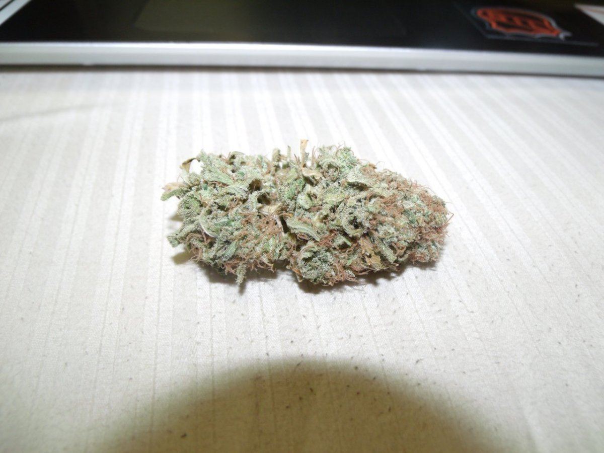 GEDC0003