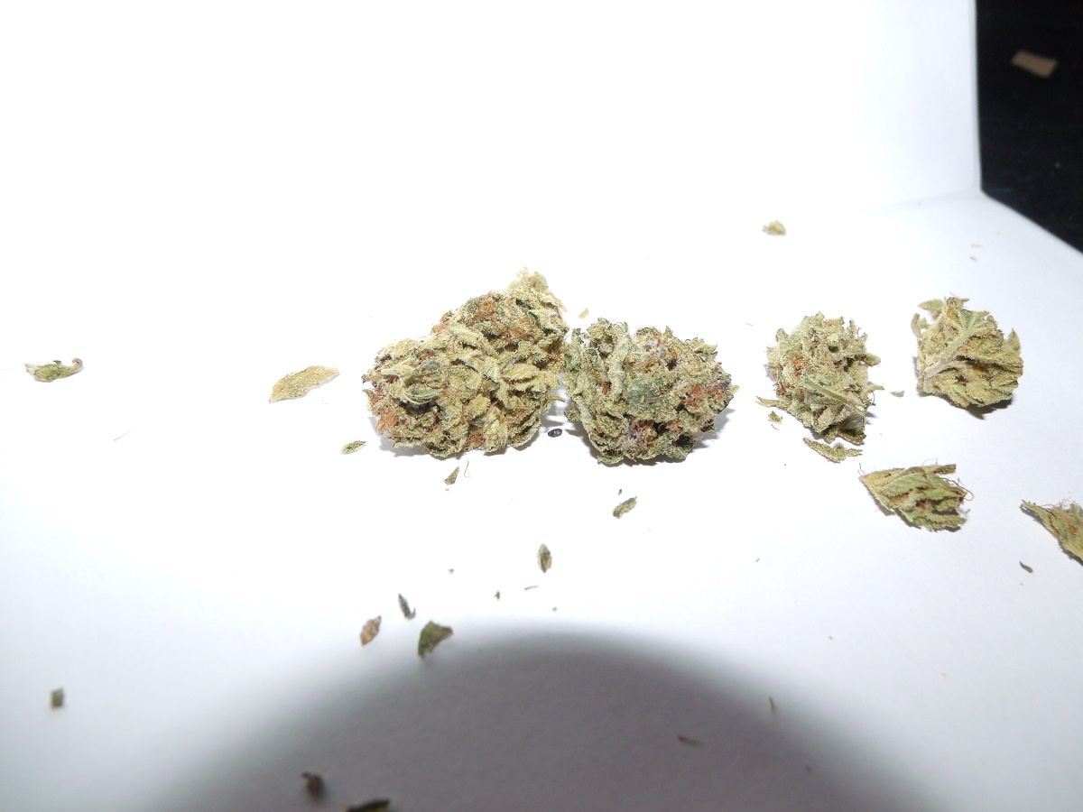 GEDC0003