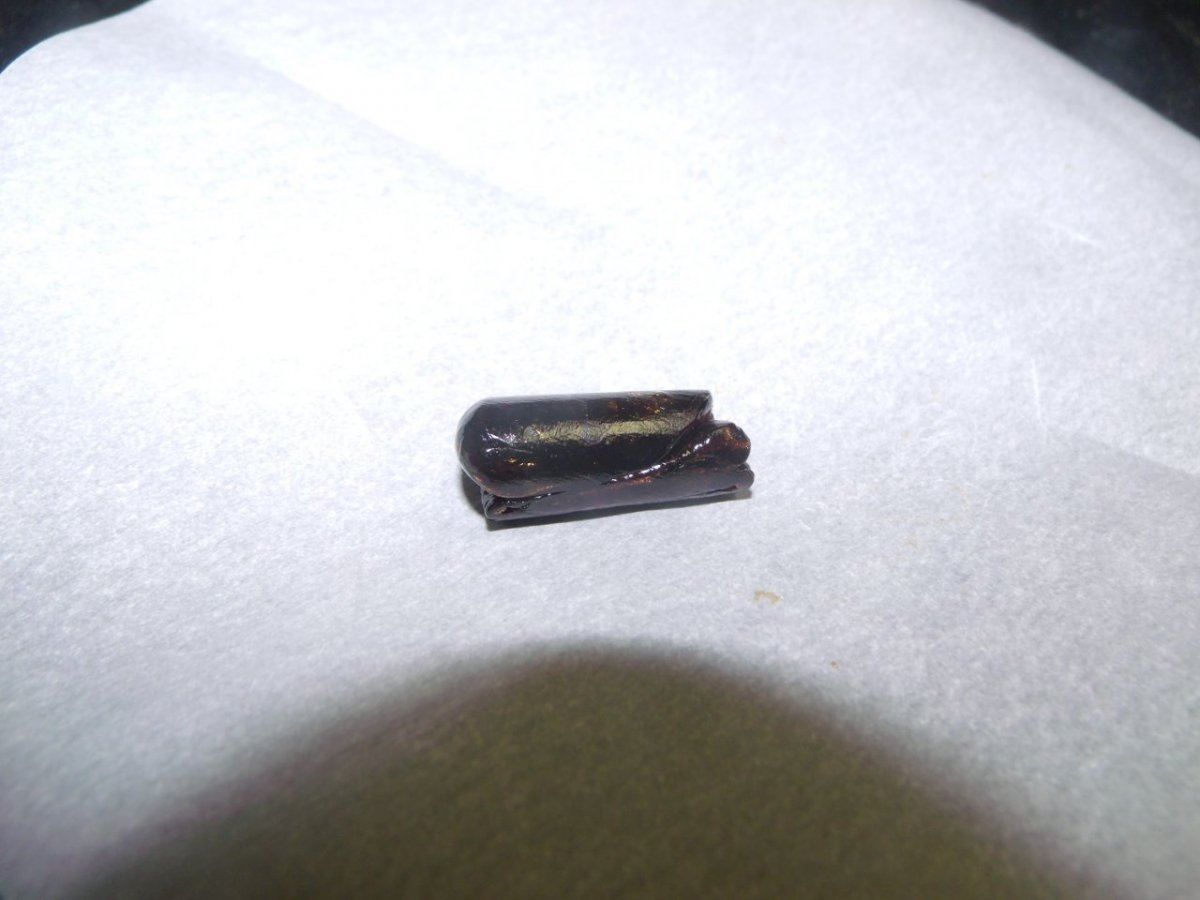 GEDC0004
