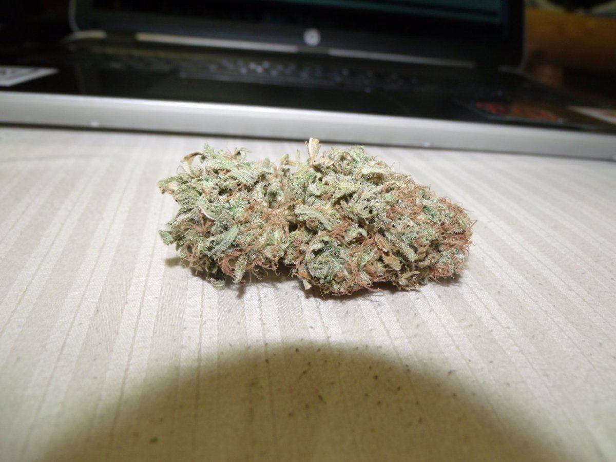 GEDC0004