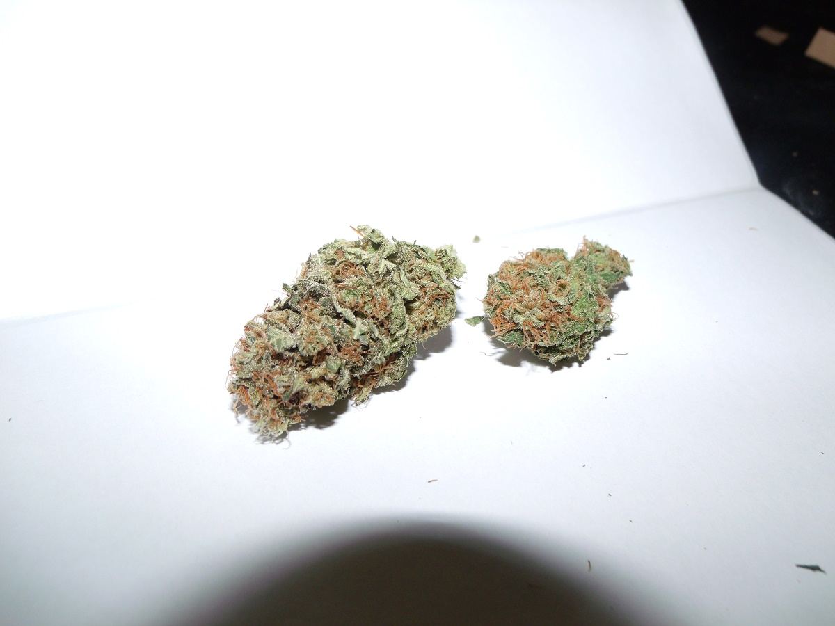 GEDC0004