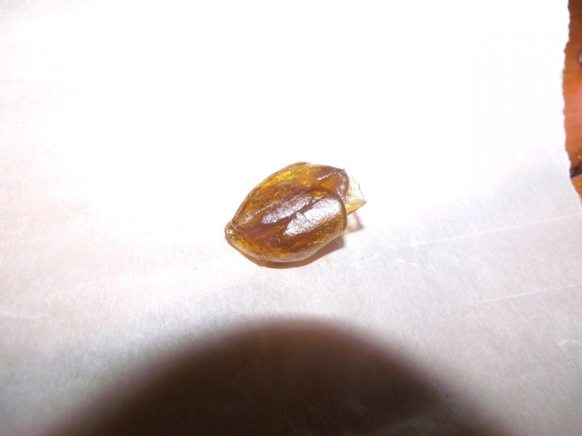 GEDC0008