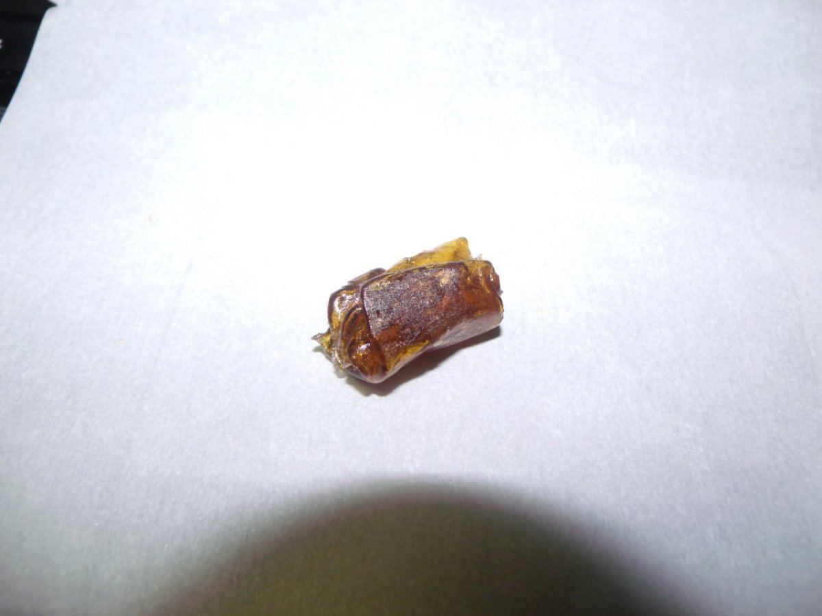GEDC0011