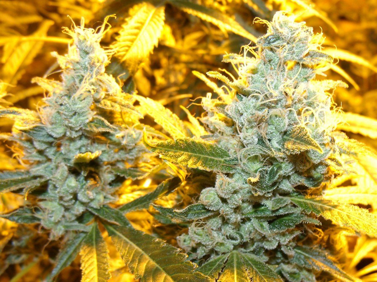 GEDC0307