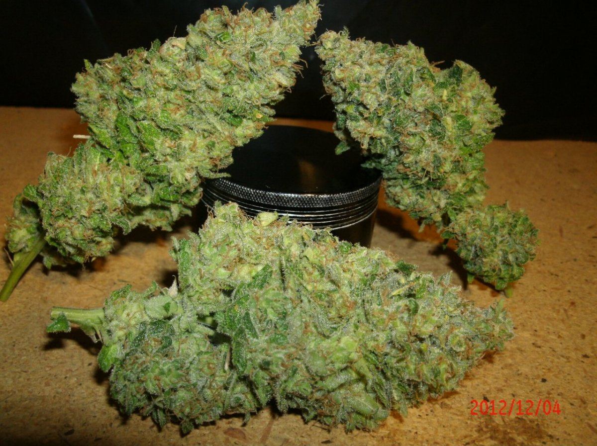 GEDC0878