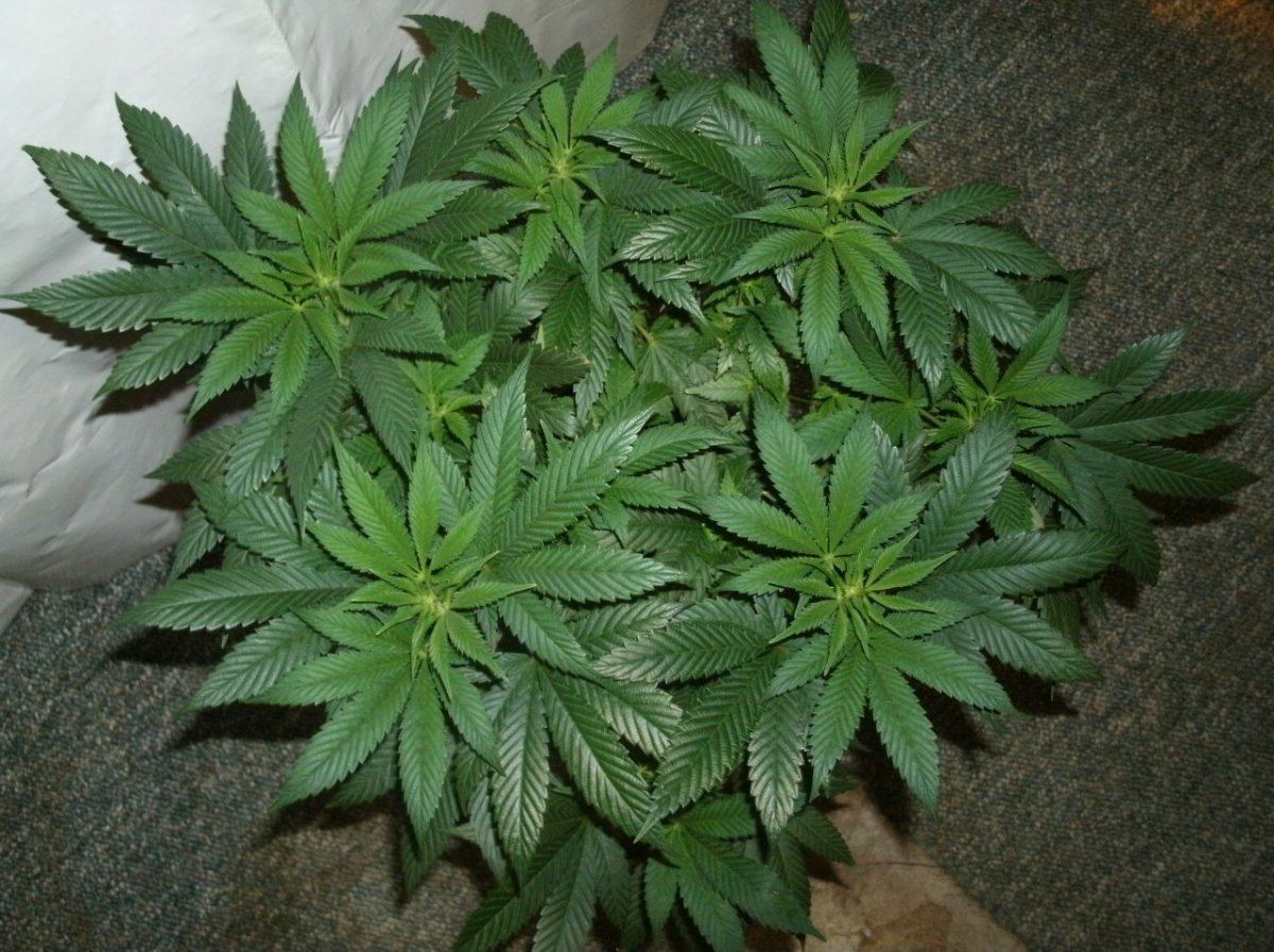 GEDC1097